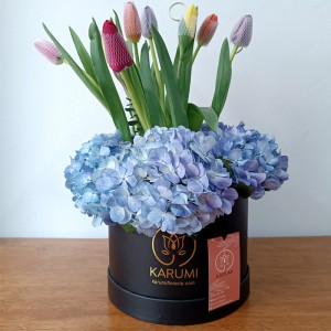 Box Tulipanes Ale Box Tulipanes Ale