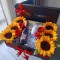 Box Celebración de girasoles y rosas Box Celebración de girasoles y rosas