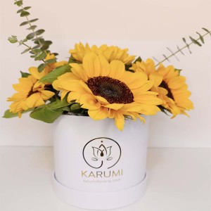 Box Girasoles (BXG01) Box Girasoles (BXG01)