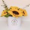 Box Girasoles (BXG01)