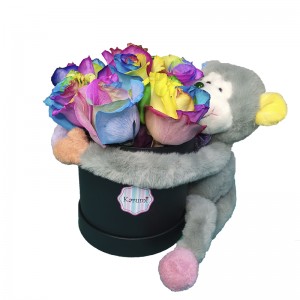 Box 10 Rosas Arcoíris + peluche monito abrazo