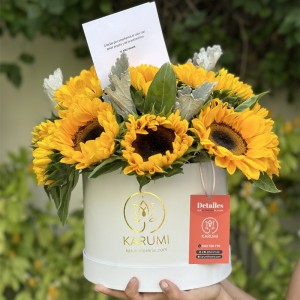 Box de girasoles Sami Box de girasoles Sami