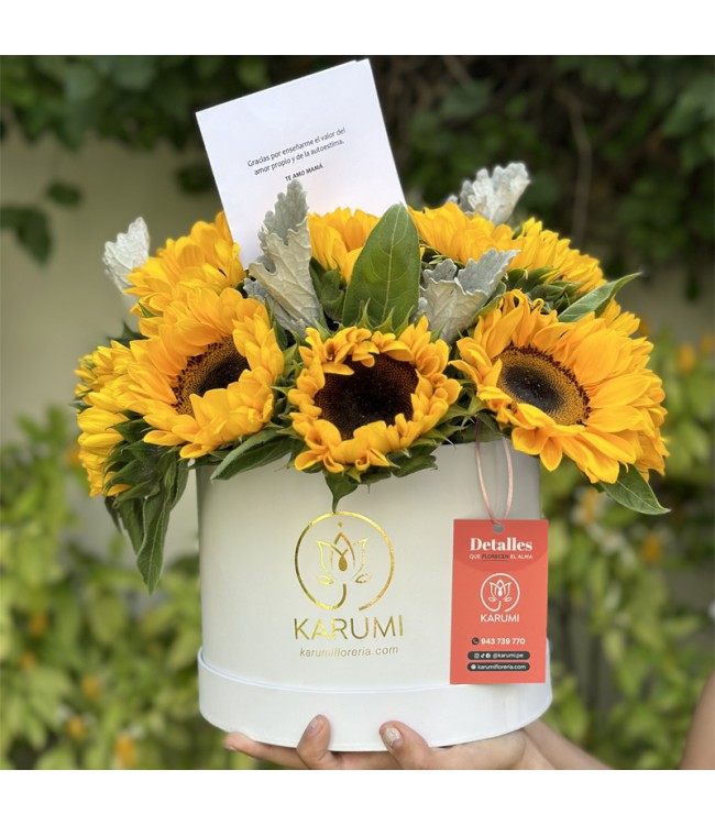 Box de girasoles Sami
