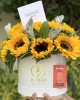 Box de girasoles Sami