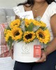 Box de girasoles Sami