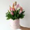 Box de Tulipanes Belleza