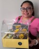 Box Flores Amarillas Nina