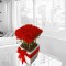 Amor de rosas rojas (ARS003)