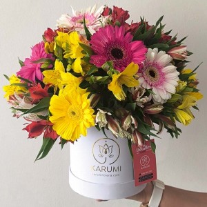 Box de gerberas Feliciana