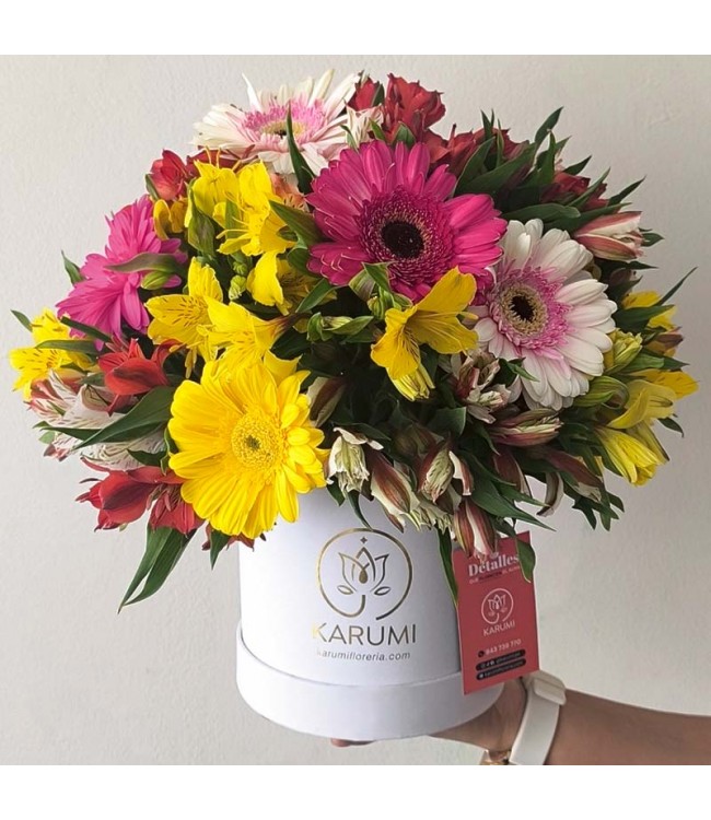 Box de gerberas Feliciana Box de gerberas Feliciana