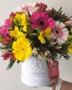 Box de gerberas Feliciana Box de gerberas Feliciana